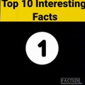 top intresting facts