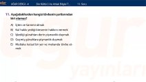 Din Kültürü ve Ahlak Bilgisi - Test 1 Soru: 11