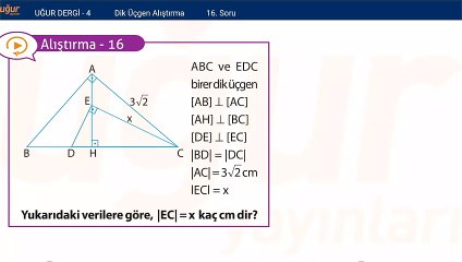 Geometri - Dik Üçgen Alıştırma Soru: 16