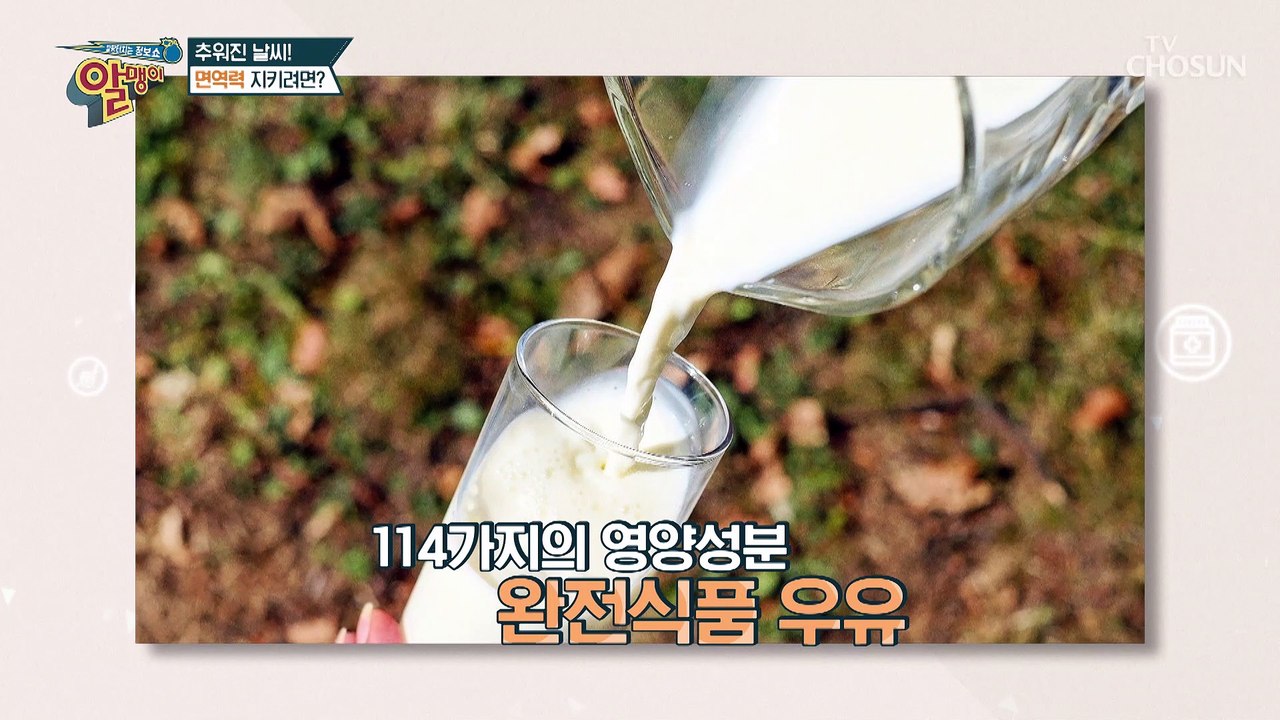 일교차가 심한 요즘 면역력 잡고 전신건강에 좋은 우유 TV CHOSUN 2022101...