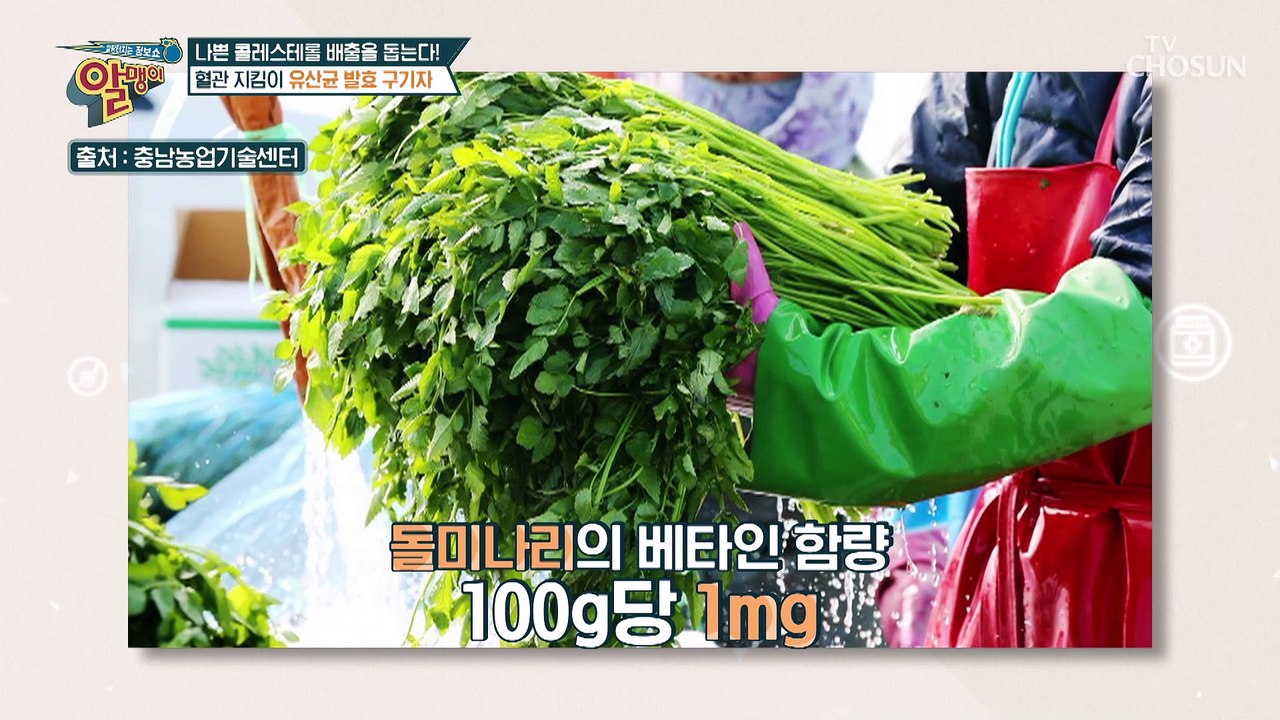 혈관 속 지방 배출은 돕고 치매 예방도 효과 있는 「유산균 발효 구기자」 TV CHO...