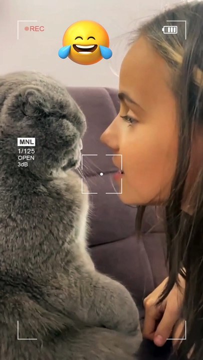 Noty cat 