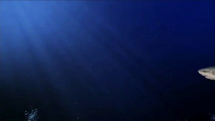 Les démonstrations se poursuivent en iran