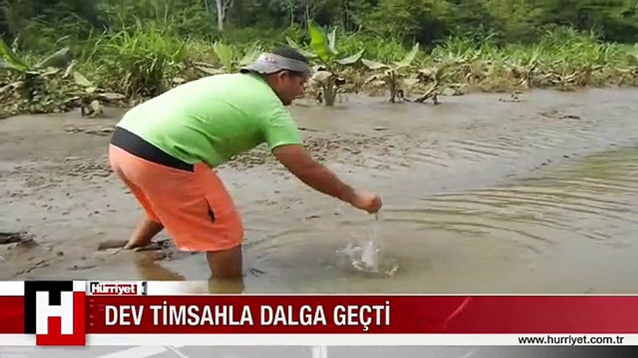 DEV TİMSAHLA OYUN OYNADI