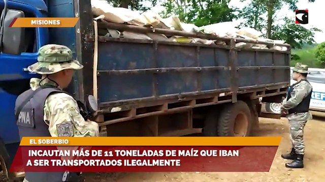 Incautan más de 11 toneladas de maíz que iban a ser transportados ilegalmente
