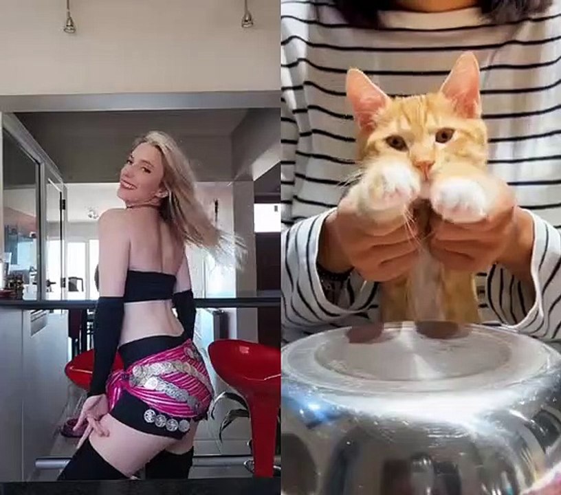 oriental cat darbuka