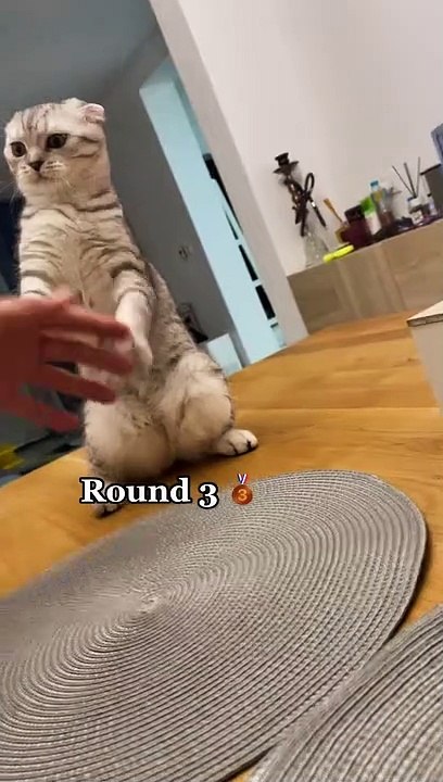 Fight round 3