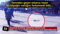 Kayseri'de 'İnsanlık ölmemiş' dedirten görüntü