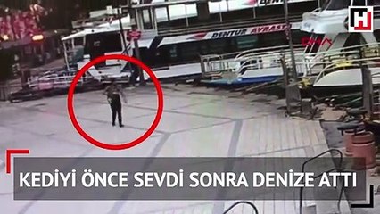 Üsküdar'da vahşet kamerada: Kediyi önce sevdi sonra denize attı