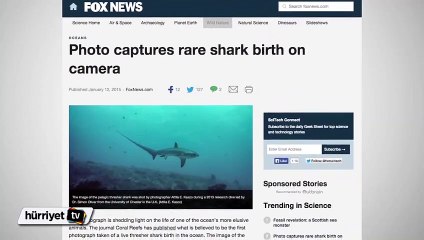 Az kalsın çöpe gidecek olan fotoğraftaki duygulandıran detay!