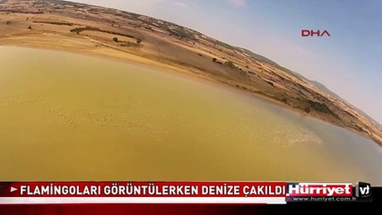 FLAMİNGOLARI GÖRÜNTÜLERKEN DENİZE ÇAKILDI