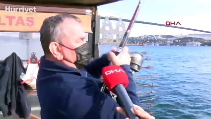 İstanbul Boğazı'nı denizanaları bastı