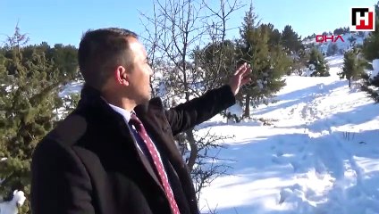 Define için tünel kazan şüphelileri kaymakam yakalatmış