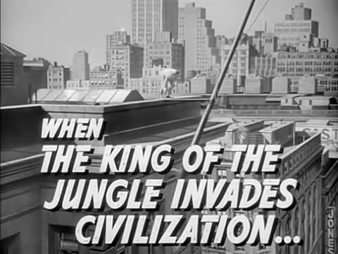 Les Aventures de Tarzan à New-York Bande-annonce (EN)