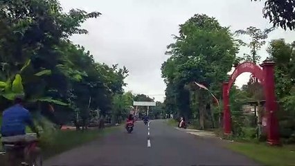 Joko kendil dan macan putih yang lagi viral