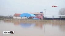 Manisa'da dere taştı binlerce dönüm arazi sular altında kaldı