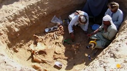 أول حديقة حيوان فى العالم.. أنشأها الفراعنة وعمرها 6 آلاف عام