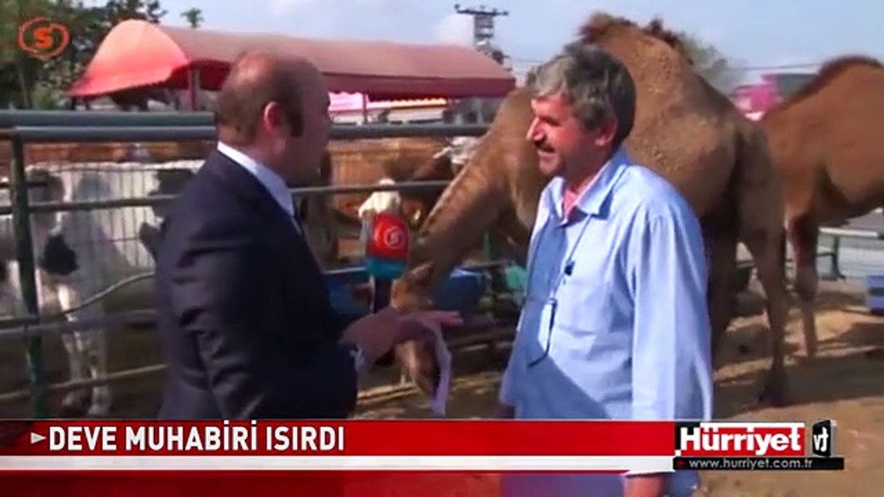 MUHABİRİN DEVE İMTİHANI