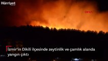İzmir'in Dikili ilçesinde zeytinlik ve çamlık alanda yangın çıktı