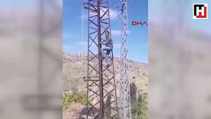 Telefonla konuşmak için elektrik direğine çıkıyorlar
