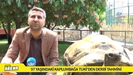 97 yaşındaki kaplumbağa Tuki'den derbi tahmini