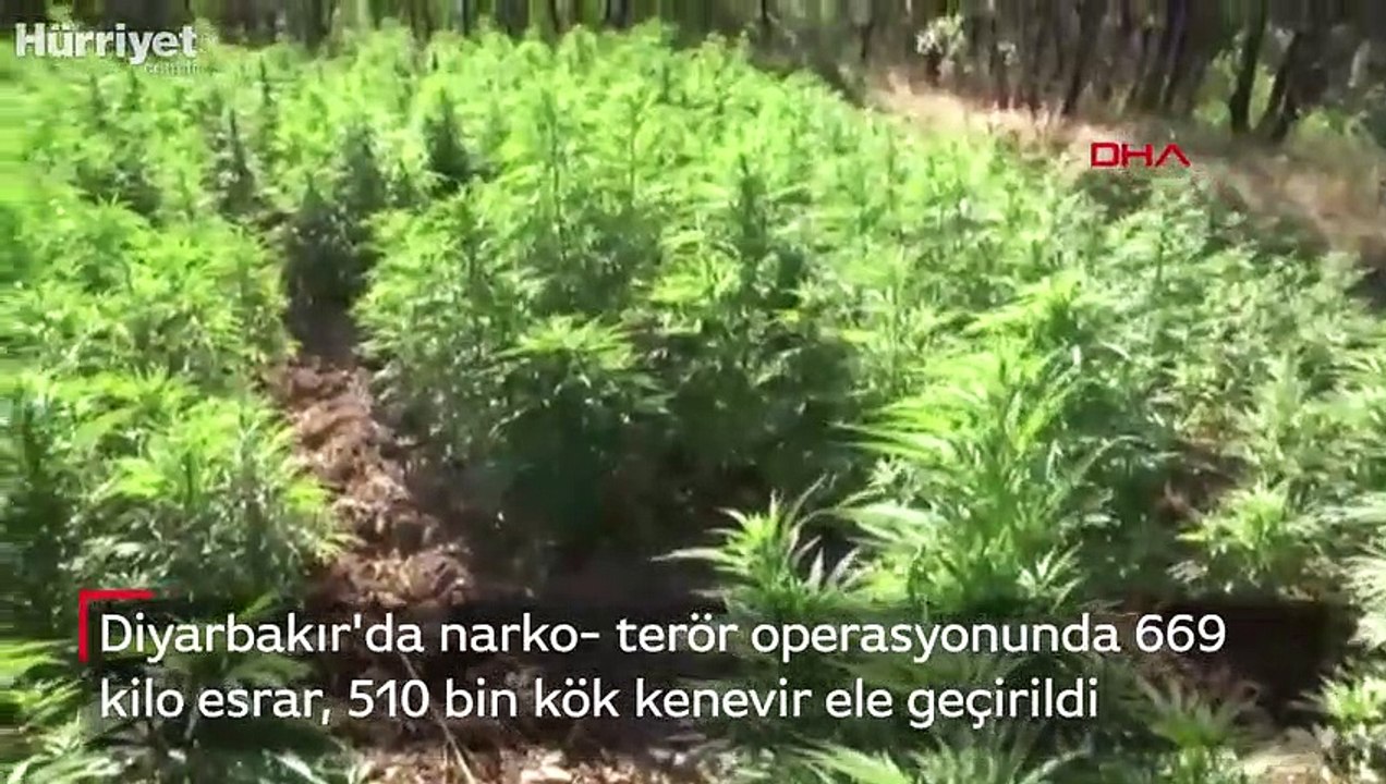 Diyarbakır'da narko- terör operasyonunda 669 kilo esrar, 510 bin kök kenevir ele geçirildi