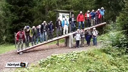 Domino taşları gibi devrildiler