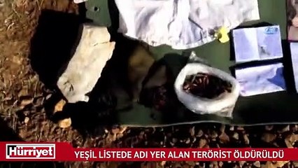 Başına 1 milyon TL ödül konulan Edip Yetüt adlı terörist Lice'de öldürüldü