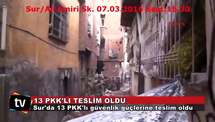 Sur'da 13 PKK'lı teslim oldu