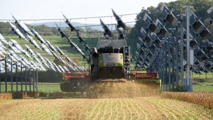 L’Agrivoltaïque, ou comment produire de l’électricité en protégeant ses cultures