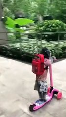 यह तब तक मज़ेदार था जब तक मुझे एहसास नहीं हुआ कि यह एक कुत्ता है जो चारों तरफ ठीक से चल भी नहीं सकता।