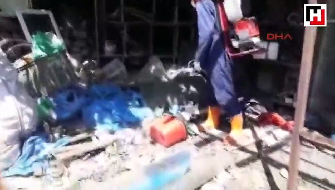Zika virüsü salgınına neden olan Aedes türü sivrisinekler tespit edildi