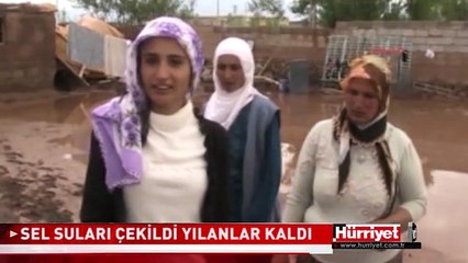 SEL SULARI ÇEKİLDİ YILANLAR KALDI