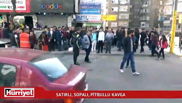 Diyarbakır'da satırlı, sopalı, pitbullu feci kavga...
