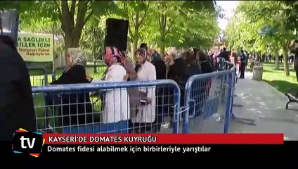 Video herunterladen: Domates fidesi alabilmek için birbirleriyle yarıştılar