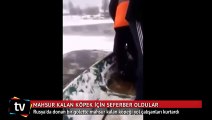 Donmuş göletteki köpeği yol çalışanları kurtardı