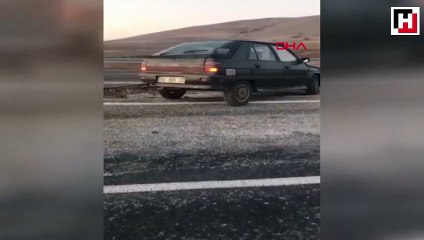 Ölü domuzu otomobiliyle sürükledi