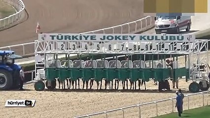Doru dişi Sera isimli tay hipodromda can verdi