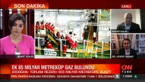 Doğal gaz keşfi sonrası uzmanlardan dikkat çeken açıklamalar