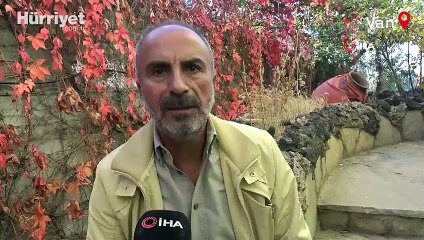 Anne kedi, dekoratif küpün içinde dördüz yavru doğurdu