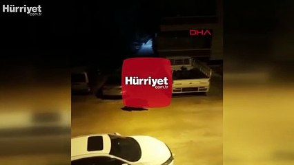 Hatay'da aç kalan yaban domuzu, kent merkezine indi