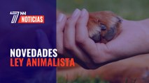 La ley animalista obligará a tener asistencia veterinaria las 24 horas a pueblos que ni siquiera tienen médico