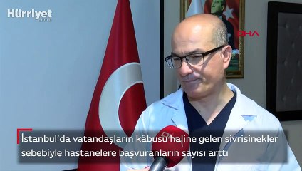 İstanbul'a sivrisinek kabusu: sinekler ilaçlara karşı direnç kazandı