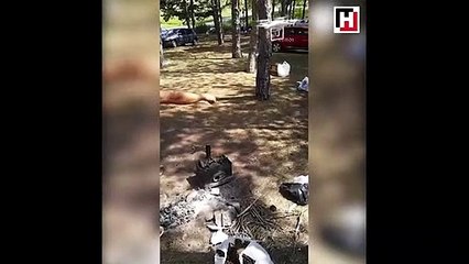 Mangal kömürünü drone ile körükleyen vatandaş