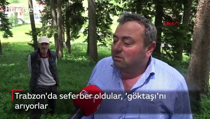 Trabzonlular, düştüğü iddia edilen göktaşını aramaya çıktılar