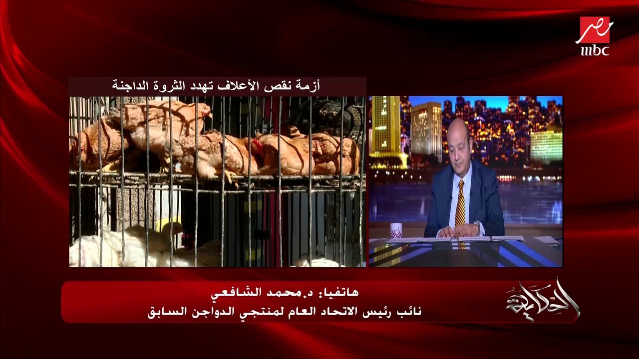 عمرو أديب: في أي حتة في العالم موضوع الكتاكيت ده الدولة تجيب الناس وتقولها أنا أقدر أعمل كده ومقدرش أعمل كده لمدة كده