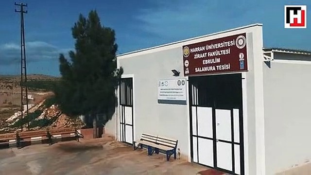 Kadınlar Günü’nde ilham veren beş güçlü kadın : Ebru Sakar