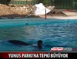 YUNUS PARKINA TEPKİ BÜYÜYOR