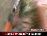 LEOPAR AVCIYA BÖYLE SALDIRDI