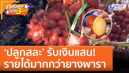 'ปลูกสละ' รับเงินแสน! รายได้มากกว่ายางพารา (13 ต.ค. 65) คุยโขมงบ่าย 3 โมง